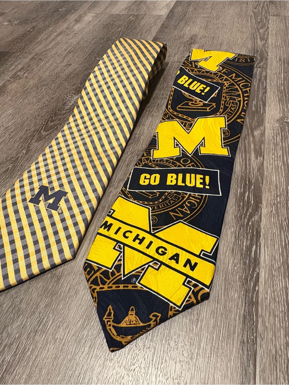 Vintage Eagles Wings & Silk RM Sport Michigan Wolverines Ties Lot of 2